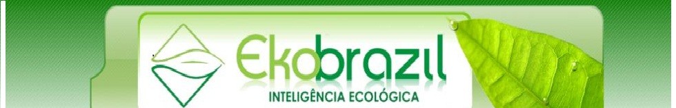 Loja de ekoaraujo